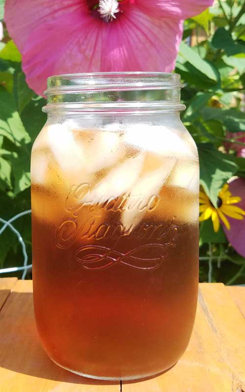 Fresh Hibiscus Tea tastes amazing, and is good for you. It is said to be good to lower blood pressure, lower cholesterol and to strengthen the immune system...and it is super simple to make!