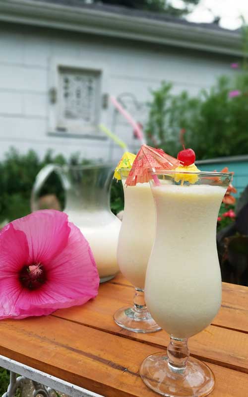 Beat the heat with this Pina Colada Whip. The ultimate frozen tropical cocktail. Coconut, pineapple, and rum create a tasty drink that is great all summer long.
