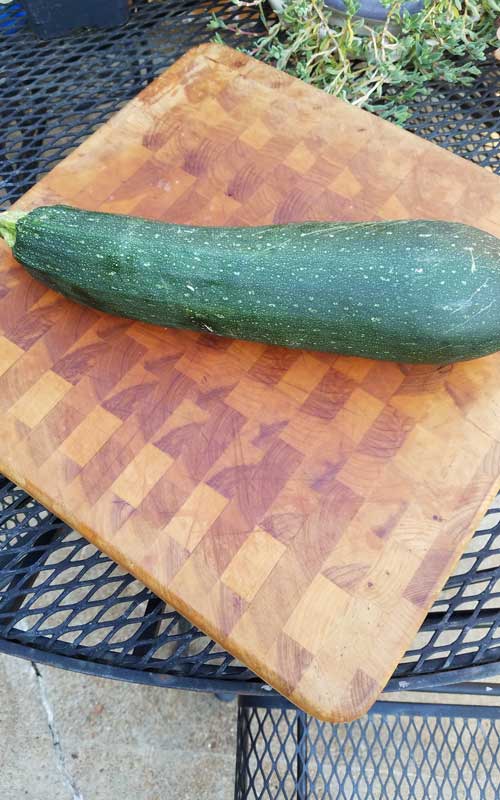 Zucchini. Pizza. Lasagna. 3 Things that go perfect together. This was so good we look forward to making it a regular at our house!