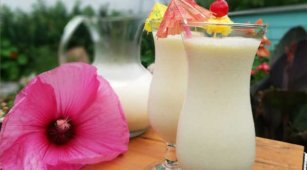 Beat the heat with this Pina Colada Whip. The ultimate frozen tropical cocktail. Coconut, pineapple, and rum create a tasty drink that is great all summer long.