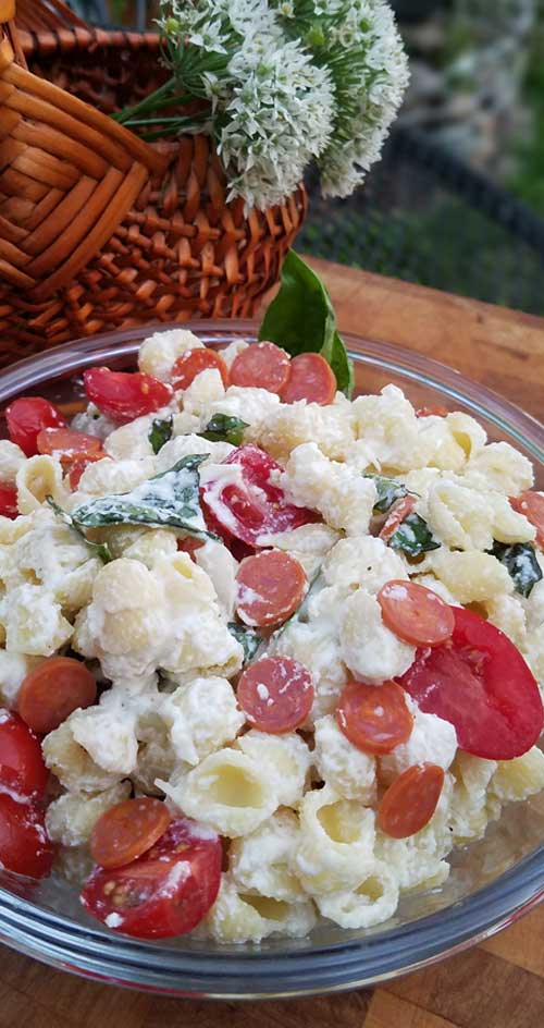 Fresh tomato and basil come together with a few other ingredients to make a simple Cheesy Italian Pasta Salad with a huge depth of flavor.