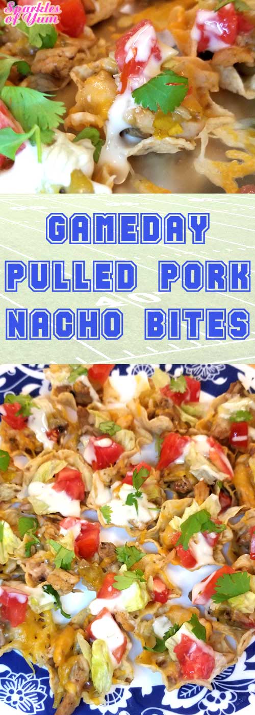 Pulled Pork Nacho Bites