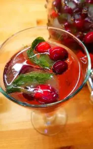 We love to raise our glass during the holidays and we've got a festive Jingle Juice Spritzer to help you ring in the New Year! It went so fast, I almost didn't get a picture!