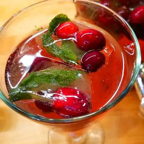 We love to raise our glass during the holidays and we've got a festive Jingle Juice Spritzer to help you ring in the New Year! It went so fast, I almost didn't get a picture!