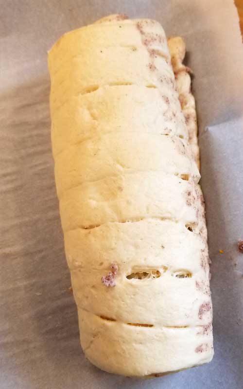 A roll of dough with score marks, before being sliced into individual rolls.