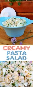 This Creamy Pasta Salad is fantastic! I made it for a family get-together and it was a big hit. Just enough creamy, just enough crunchy, just enough tangy, with a hint of sweetness. Everyone loved it!