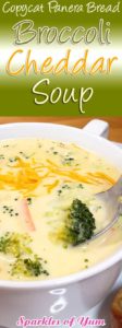 Maybe you do not have a Panera nearby, and your craving a yummy bowl of soup. Good news, you can make this Copycat Panera Broccoli Cheddar Soup in the comfort of your own home!