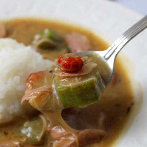 https://sparklesofyum.com/wp-content/uploads/2019/02/gumbo-T1-480x480.jpg