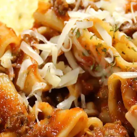 Italian Pasta and Marinara Meat Sauce