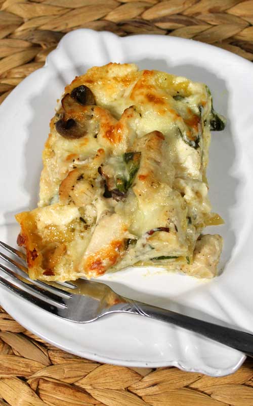 This Extra Creamy Chicken Alfredo Lasagna is not your average Chicken Alfredo Lasagna. It's extra rich and creamy with an easy home made Ricotta Alfredo Sauce. It is everything I crave in comfort food!
