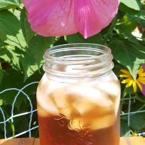 Fresh Hibiscus Tea