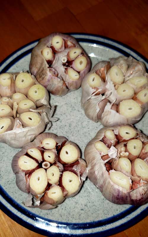 Five bulbs of roasted galic with the end cut off, resting on a grey plate with blue stripes around the edge.